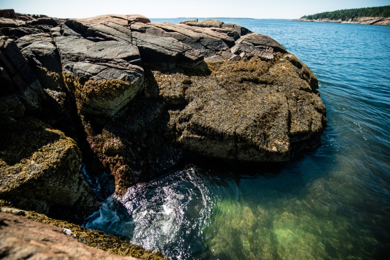 Acadia National Park | Thunder Point | Landscape | Nature Photography | Maine