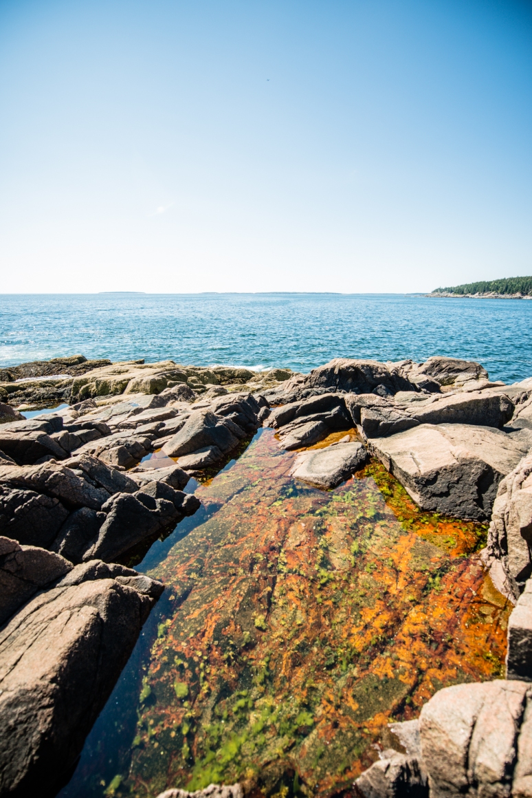 Acadia National Park | Nature Photography | Thunder Point | Maine Travel
